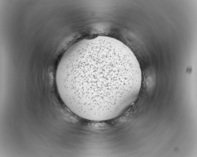 X0000090410716200708101919