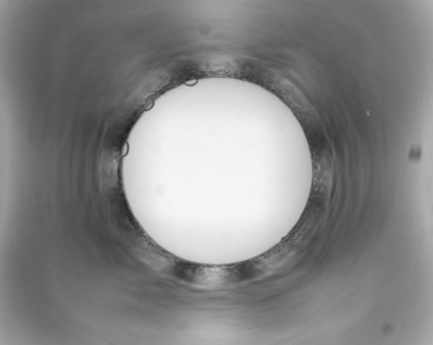 X0000090410717200708101919