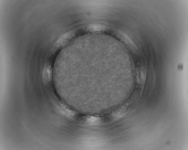 X0000090410718200708101919
