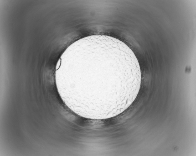 X0000090410719200708101919