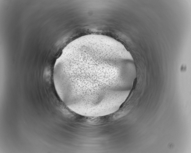 X0000090410720200708101919