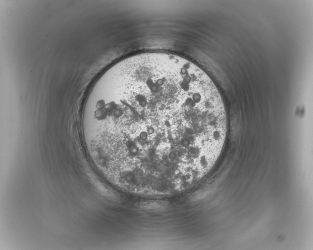X0000090410721200708101919