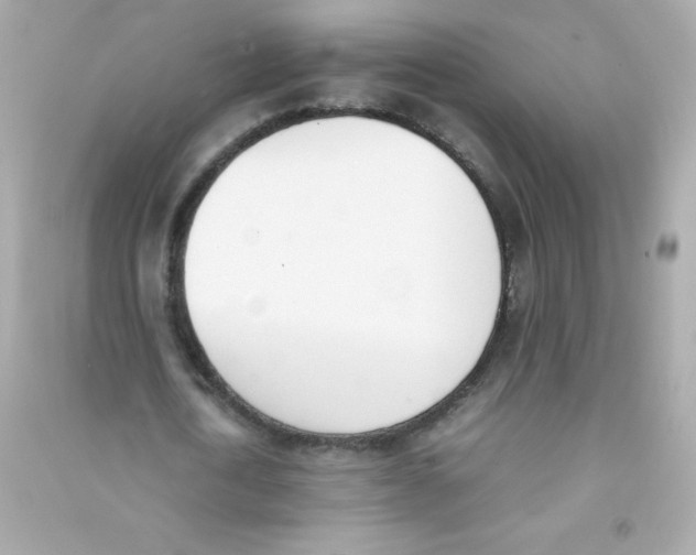 X0000090410722200708101919