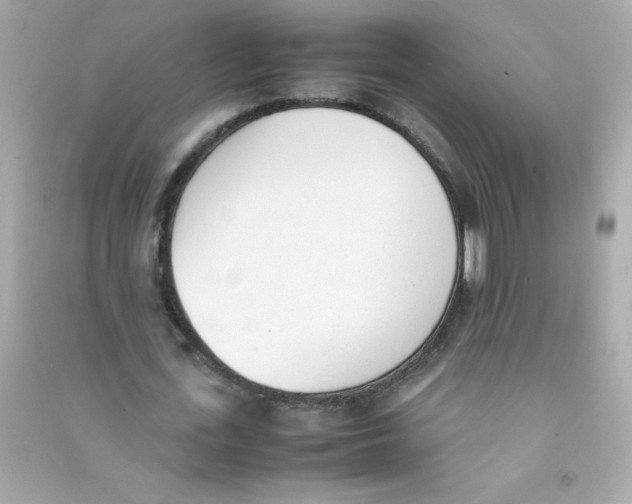 X0000090410723200708101919