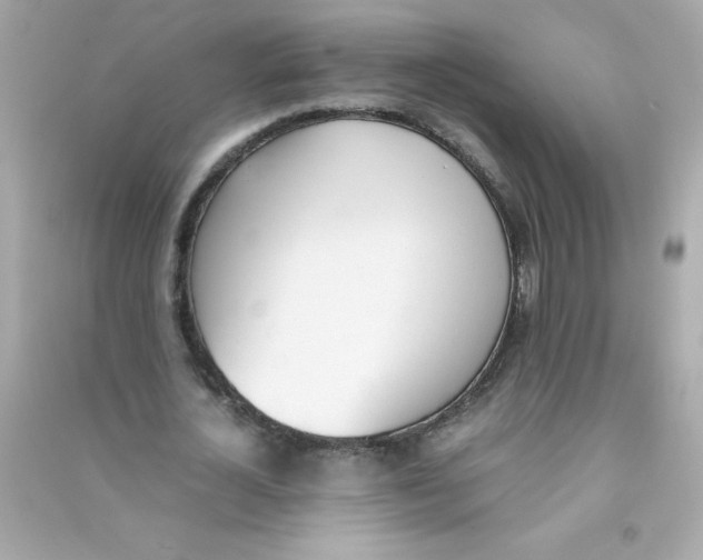X0000090410724200708101919