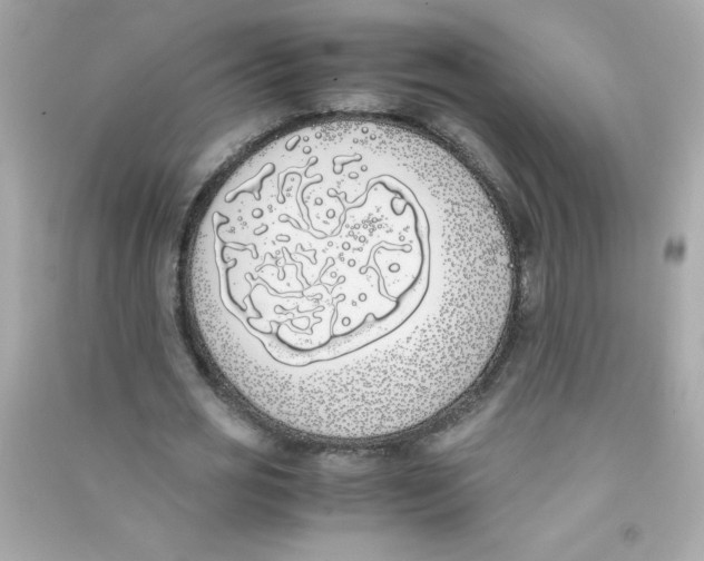 X0000090410725200708101919