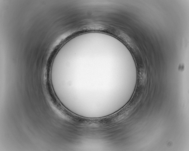 X0000090410726200708101919