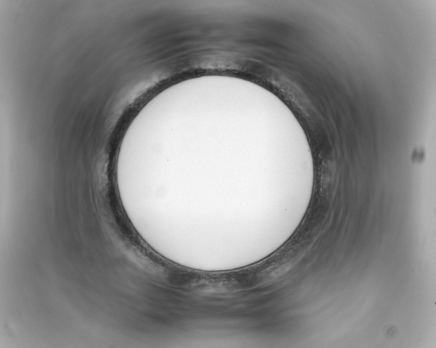 X0000090410727200708101919