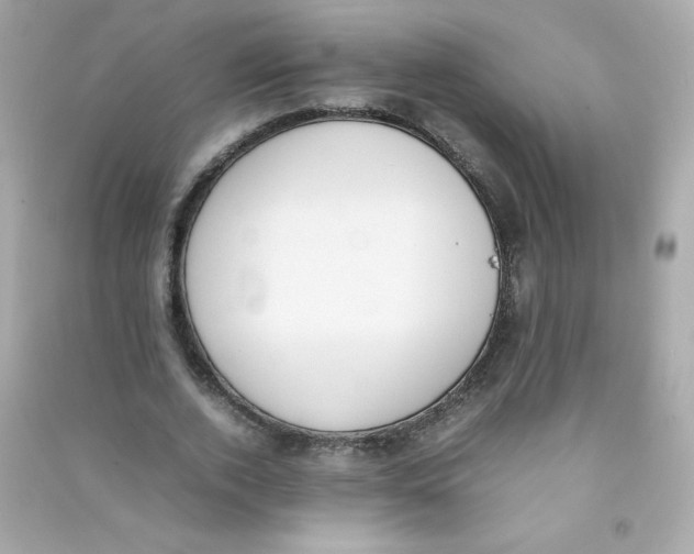 X0000090410728200708101919