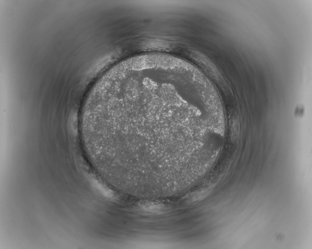 X0000090410729200708101919
