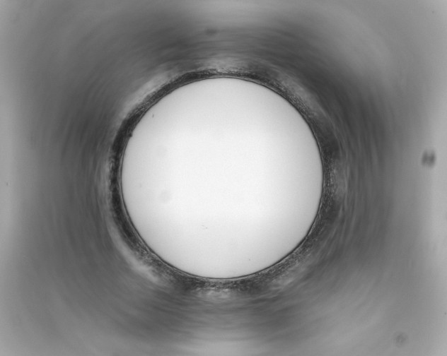 X0000090410730200708101919