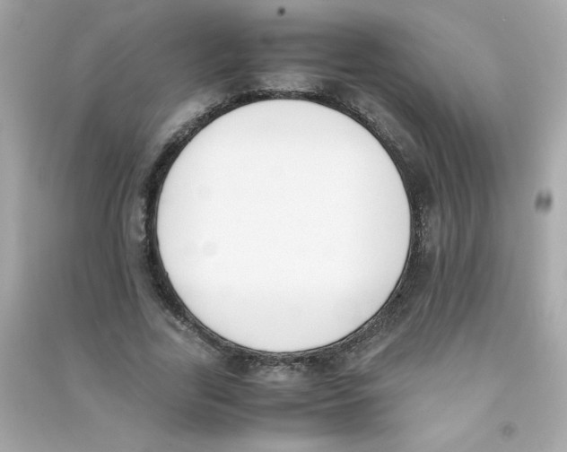 X0000090410731200708101919