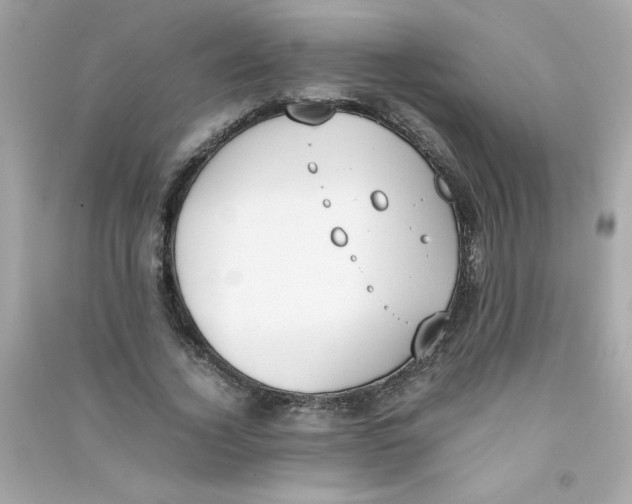 X0000090410732200708101919