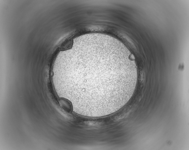 X0000090410733200708101919