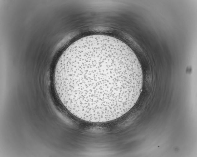 X0000090410734200708101919