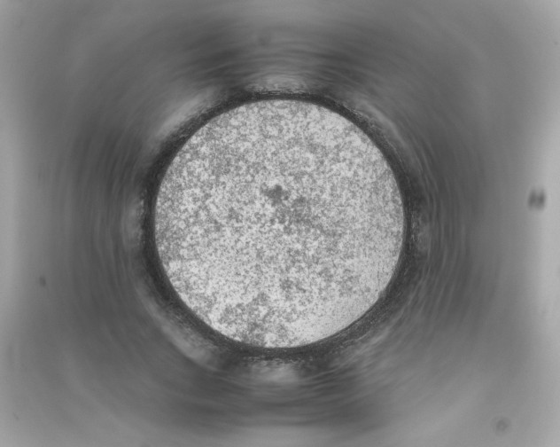 X0000090410735200708101919