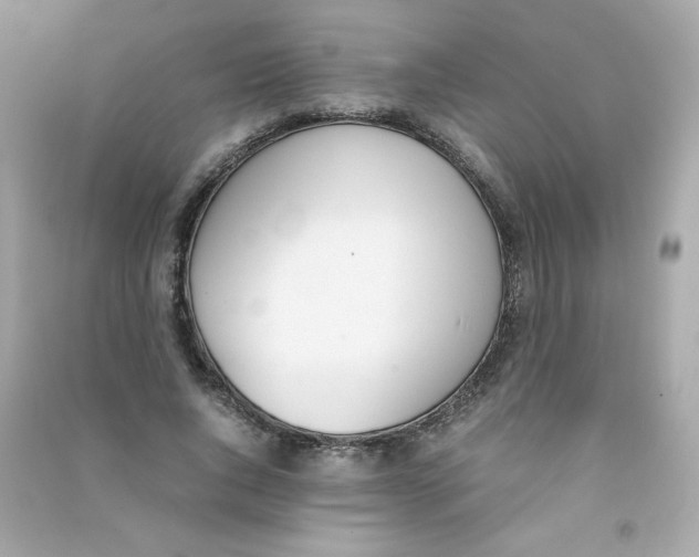 X0000090410736200708101919