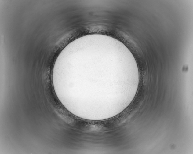 X0000090410737200708101919