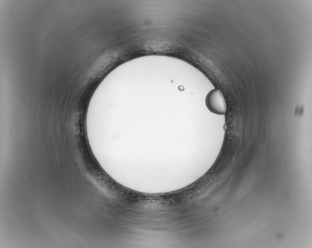 X0000090410738200708101919