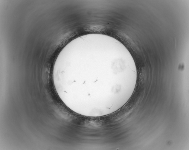 X0000090410739200708101919