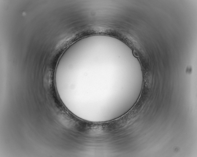 X0000090410740200708101919