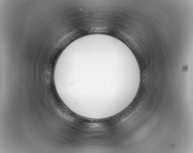 X0000090410741200708101919