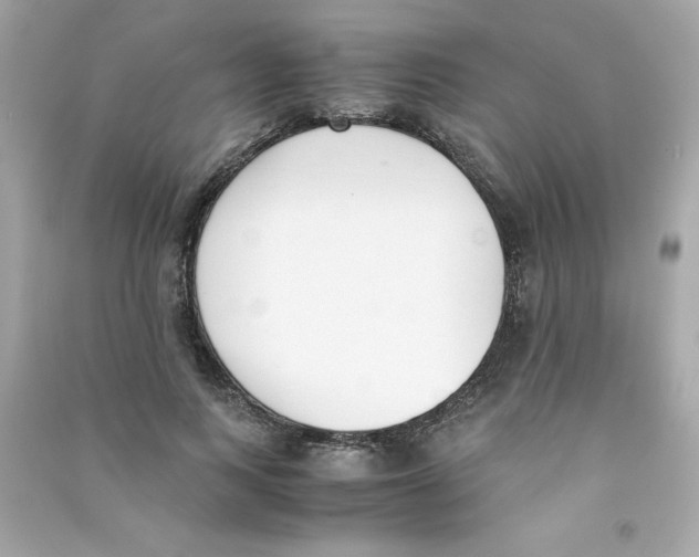 X0000090410743200708101919