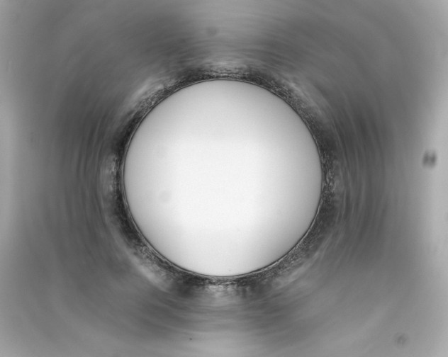 X0000090410744200708101919