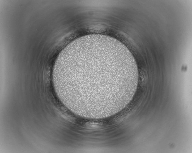 X0000090410745200708101919