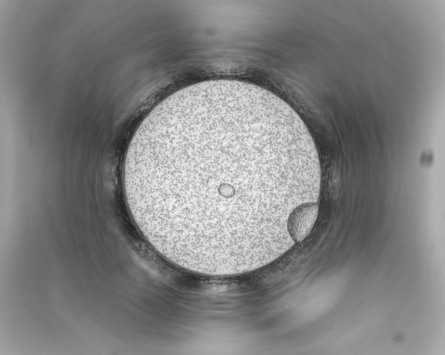 X0000090410746200708101919