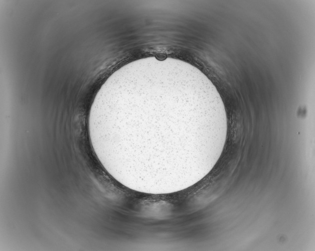 X0000090410747200708101919
