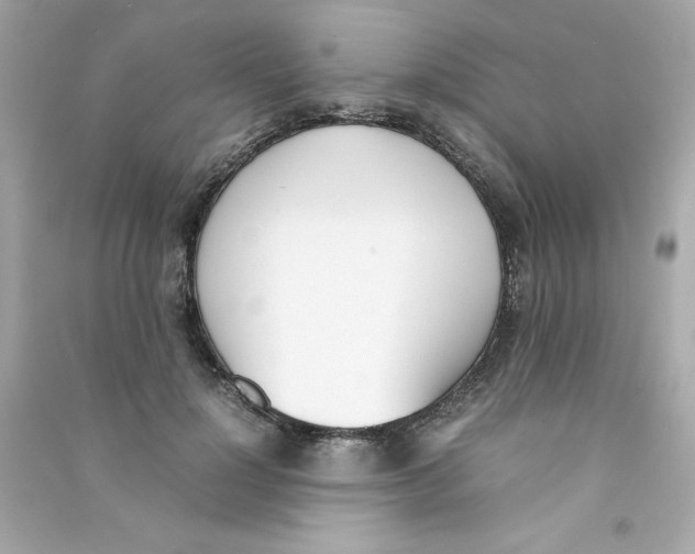 X0000090410748200708101919