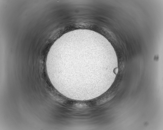 X0000090410749200708101919
