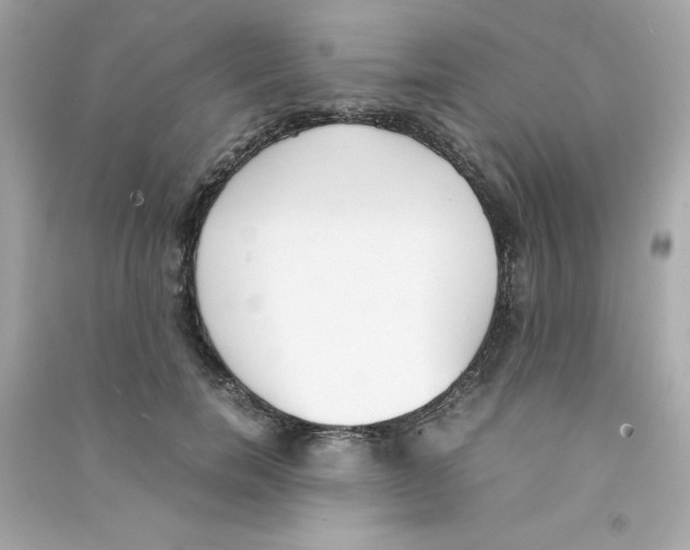 X0000090410750200708101919