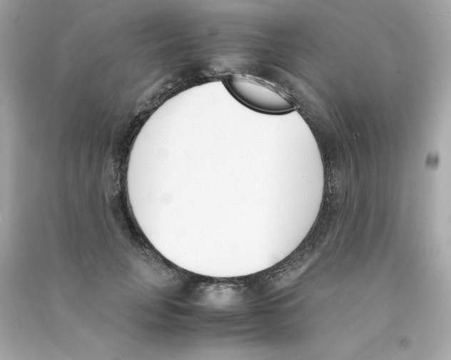 X0000090410751200708101919