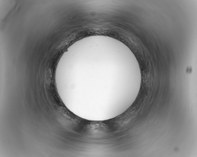 X0000090410752200708101919