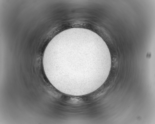 X0000090410753200708101919
