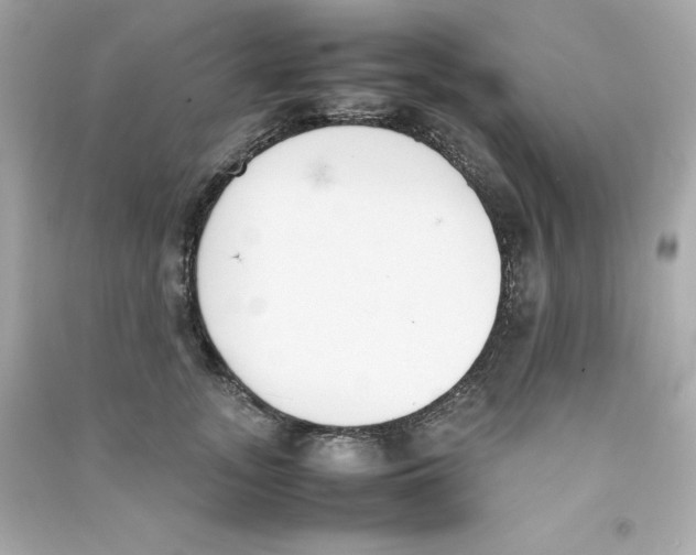 X0000090410755200708101919