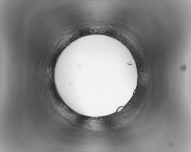 X0000090410756200708101919
