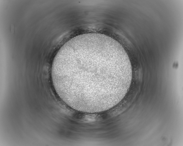 X0000090410757200708101919