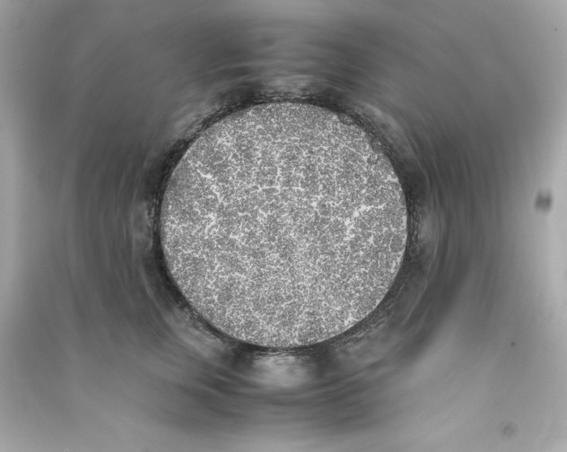 X0000090410759200708101919