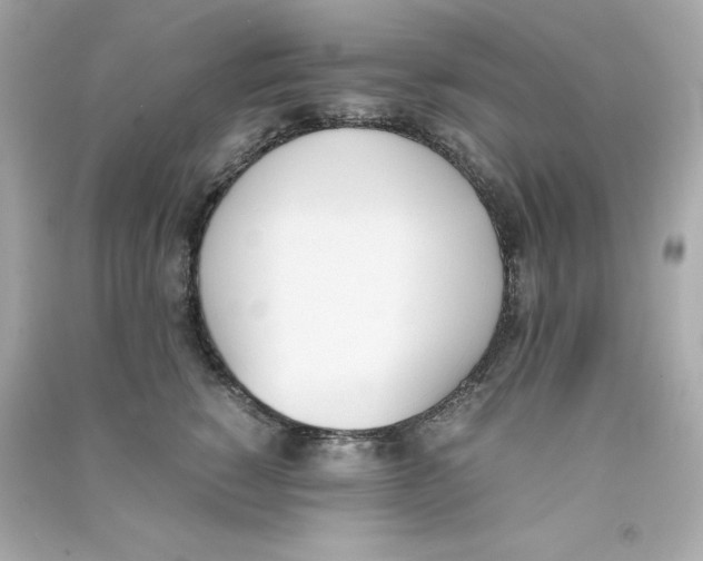 X0000090410760200708101919