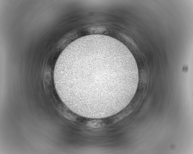 X0000090410761200708101919