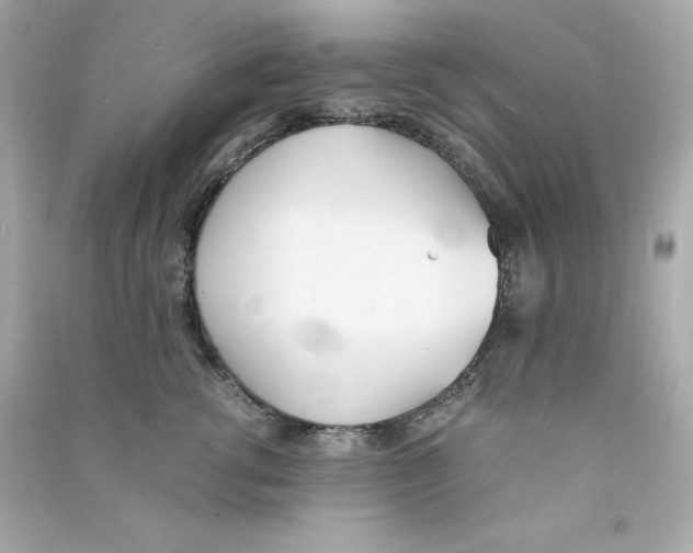 X0000090410762200708101919