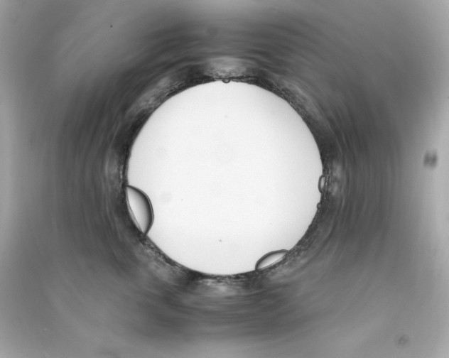 X0000090410763200708101919