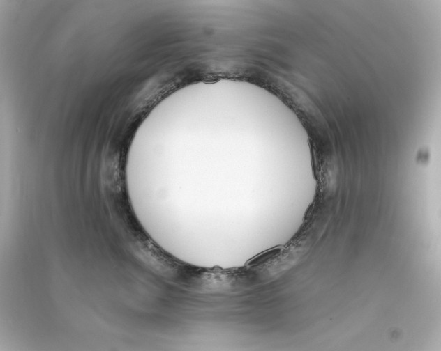X0000090410764200708101919