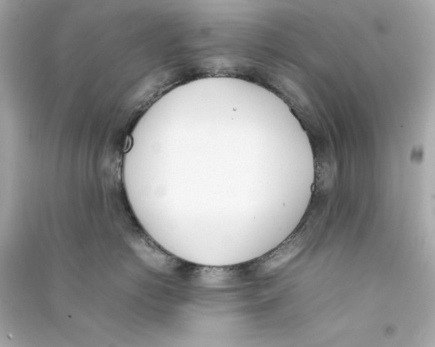 X0000090410766200708101919
