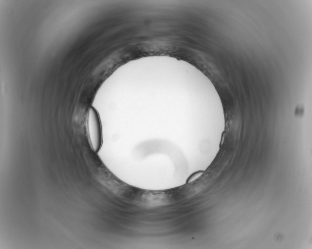 X0000090410767200708101919