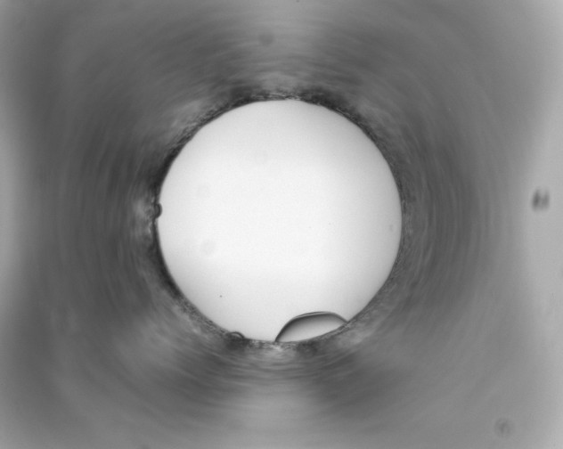 X0000090410768200708101919