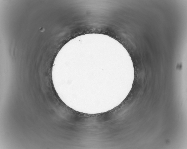X0000090410769200708101919